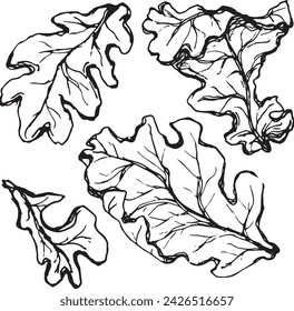 Primer plano vintage de un árbol de roble sobre un fondo blanco para el diseño de impresión. Esbozo realista dibujado a mano.