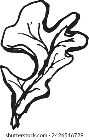 Vintage close-up drawing of a oak tree on a white background for print design. Realistic sketch drawn by hand.