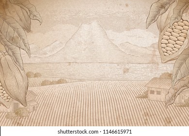 Vintage cocoa tree and nature field in engraving style