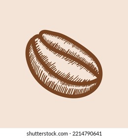 Vintage Coffee Bean Editable Vector
