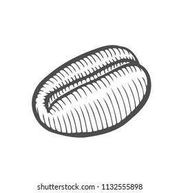 Vintage coffee bean engraving vector illustration. Isolated on white background