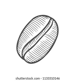 Vintage coffee bean engraving vector illustration. Isolated on white background