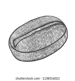 Vintage coffee bean engraving vector illustration. Isolated on white