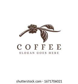 Vintage Coffee Branch Logo, Coffee Bean Logo, Coffee Plant Logo Icon Vector Template On White Background