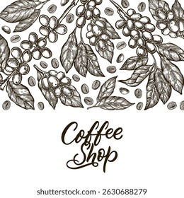 Vintage coffee label background template. Vector sketch with hand-drawn beans, branches and calligraphic lettering. Perfect for packaging, branding or product design