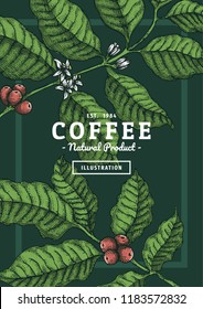 Vintage coffee leaf illustration with color for poster or another template design.