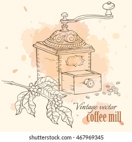 Vintage coffee mill with beans and coffee tree brunch, hand drawn sketch vector illustration.