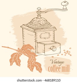 Vintage coffee mill with beans and coffee tree brunch, hand drawn sketch vector illustration.