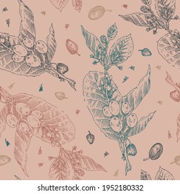 Patrón de café vintage. Paquete de café sin problemas fondo para la plantilla de banner de café con ramas vectoriales dibujando en estilo grabado. Pancarta de café asado. Elegante estampado floral grabado.