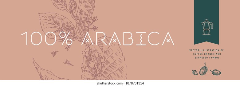 Plantilla de banner de cafetera vintage con granos de café vectorial dibujando en estilo grabado. Ilustración aislada de una rama de café sobre fondo marrón. Panorámica de café asado. Cafeína orgánica.