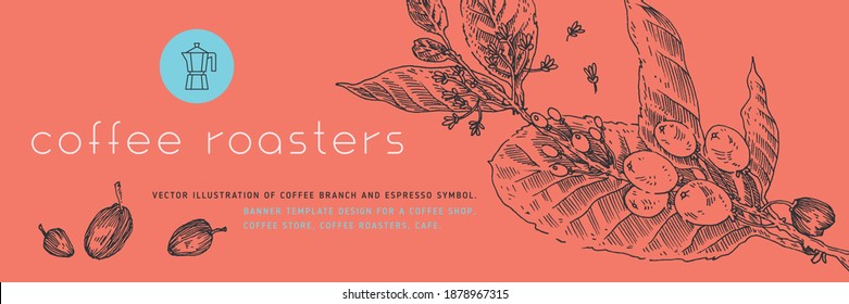 Vintage coffee shop banner template with vector coffee beans illustration in engraving style. Isolated coffee branch drawing with floral background. Panoramic coffee roaster banner. Organic caffeine.