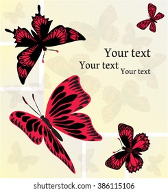 Vintage collage with butterflies
