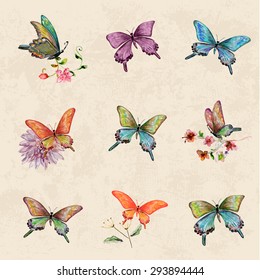 vintage a collection of butterflies. watercolor painting