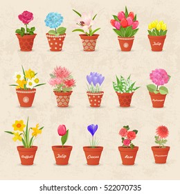 vintage collection of cute flowerpots with flowers for your design