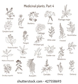 90,647 Medicinal plants drawing Images, Stock Photos & Vectors ...