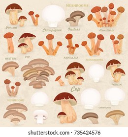 vintage collection of mushrooms for your design