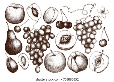 Vintage collection of ripe fruits and berries  illustrations - apple, pear, cherry, peach, apricot, quince, grapes. Hand drawn harvest sketch set. Summer or autumn design.