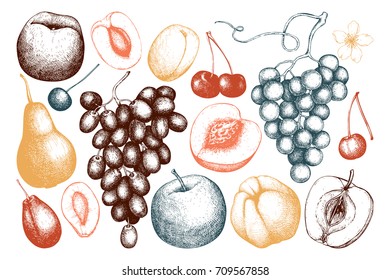 Vintage collection of ripe fruits and berries  illustrations - apple, pear, cherry, peach, apricot, quince, grapes. Hand drawn harvest sketch set. Summer or autumn design.