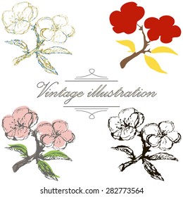 Vintage collection of vector hand drawn blooming tree twig isolated on white. Spring tree twig sketch set