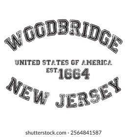 vintage college varsity new jersey's woodbridge city slogan emblem print with grunge effect for graphic tee t shirt or sweatshirt - vector