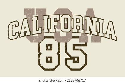 Vintage college varsity typography united states of america state number slogan print for graphic tee t shirt or sweatshirt hoodie - Vector