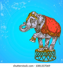 Vintage colorful background. Circus elephant. Color card. Engraving style. Vector illustration.