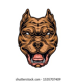 Vintage colorful cruel pitbull head on white background isolated vector illustration