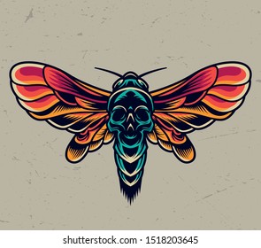 Vintage colorful flying death head moth with skull silhouette on abdomen isolated vector illustration