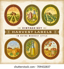 Vintage Colorful Harvest Labels Set. Editable EPS10 vector illustration in retro woodcut style with clipping mask and transparency.