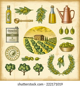 Vintage colorful olive harvest set. Fully editable EPS10 vector.