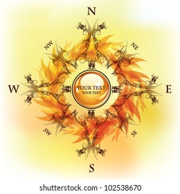 vintage compass with place for your text