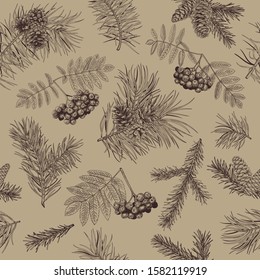 Vintage coniferous seamless pattern with mountain ash. Vector botanical illustration. Kraft background.	