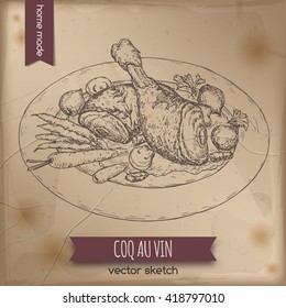 Vintage coq au vin aka chicken in wine vector sketch placed on old paper background. French cuisine. Great for restaurant, cafe, menu, recipe books, food label design. 