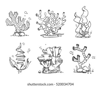 Vintage corals and seaweeds in hand drawn, doodle, sketch style vector set