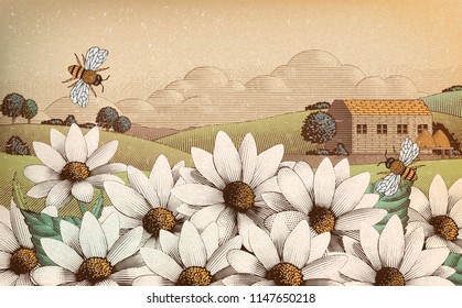 Vintage countryside scenery in engraving style, wildflower and bees