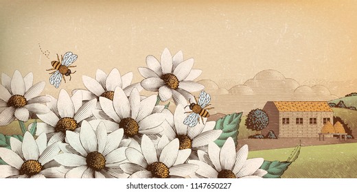 Vintage countryside scenery in engraving style, wildflower and bees