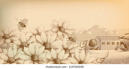 Vintage countryside scenery in engraving style, wildflower and bees