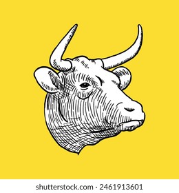 Vintage Cow Head. Sketch and Drawing Style. Vector
