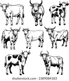 Vintage Cows, Hand Drawn Cows, Western Cows, Laser Cut Flies, Longhorn Cow, Laser Cut File, Silhouette svg