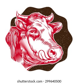 vintage cow's muzzle illustration. suitable for technical and commercial consultancy services to dairy farming enterprises