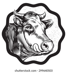 vintage cow's muzzle illustration. suitable for technical and commercial consultancy services to dairy farming enterprises