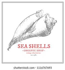 Vintage Creative shell Logo Design
