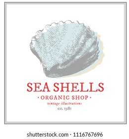 Vintage Creative shell Logo Design