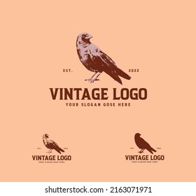 Vintage Crow Logo Design Illustration 