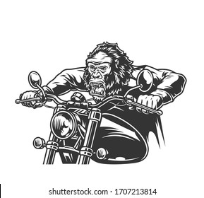 Vintage grausame Gorilla Kopf Moto-Fahrer Motorrad fahren in einfarbigem Stil, einzelne Vektorillustration Illustration