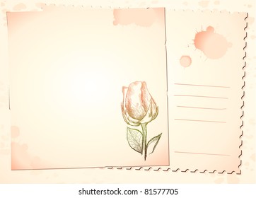 Vintage customizable background with rose, vector