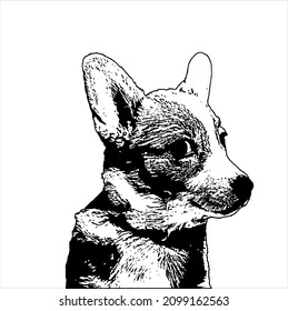 Vintage Cute Dog Vector Illustration in hand draw style