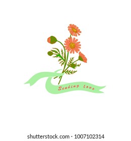 Vintage Daisy Flower Bouquet on White Background for Valentines Day, Greeting Card, Wedding Invitation, Postcard or Textile. Hand Drawn Vector Small Bouquet with Text Sending Love. 
