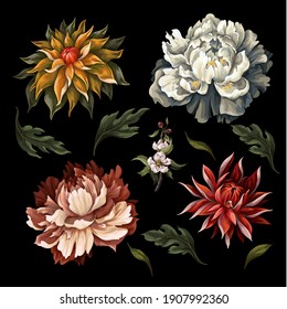 Vintage dark flowers such as peony, rose and chrysanthemum isolated. Vector