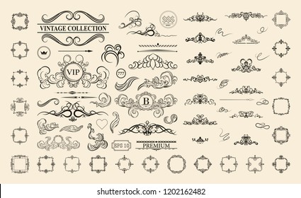 Vintage decor elements and wicker lines in vector. Decoration for logos, page, wedding album or restaurant menu in set. Calligraphic design elements